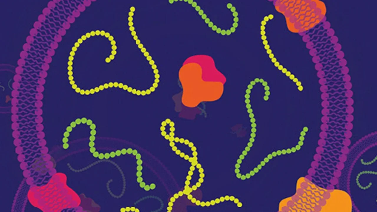 David Wong Lab Banner