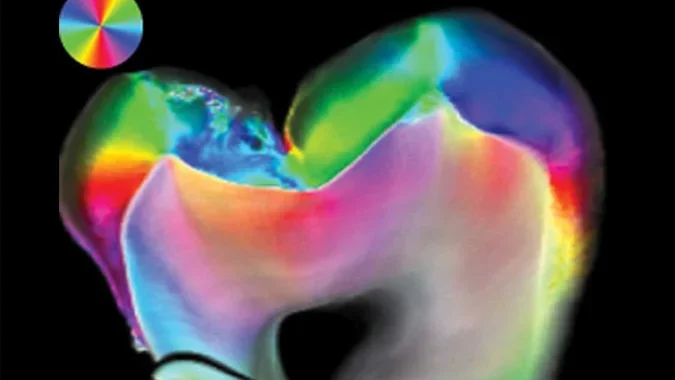 Shane N. White Lab Banner