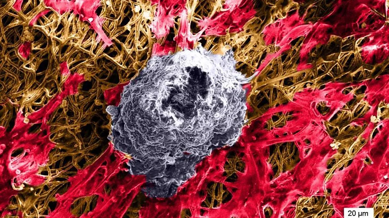 Art Work of Weintraub Center for Reconstructive Biotechnology Lab