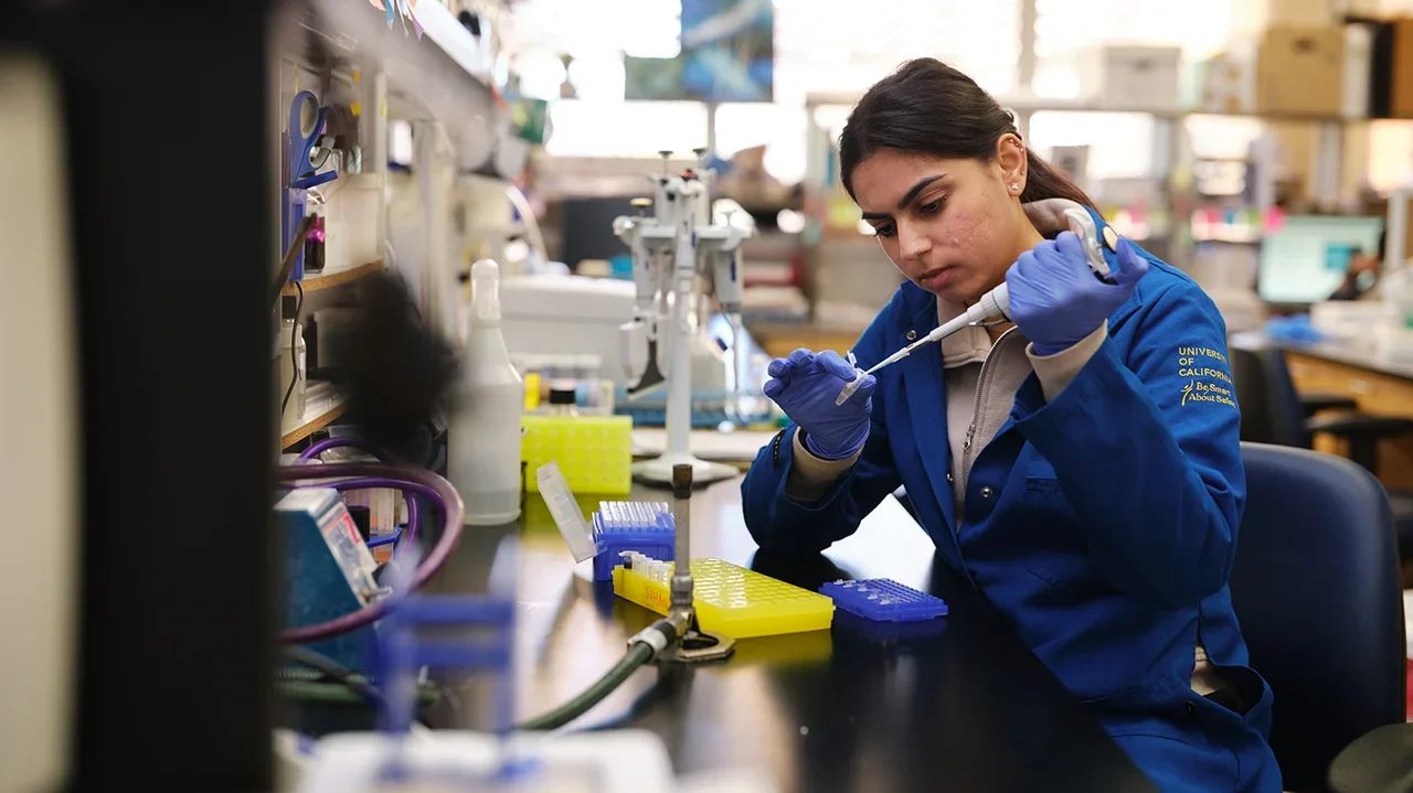 A researcher is using a micropipette to handle liquid samples, working over a bench that has racks of test tubes and laboratory equipment.