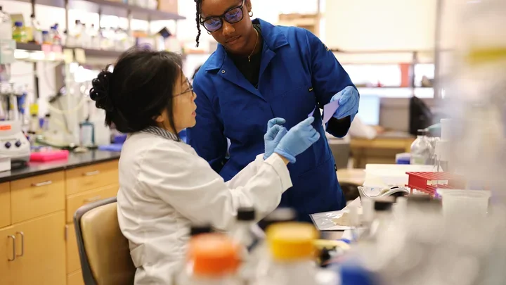 A student researcher is meeting with the Principal Investigator to discuss the ongoing research project.