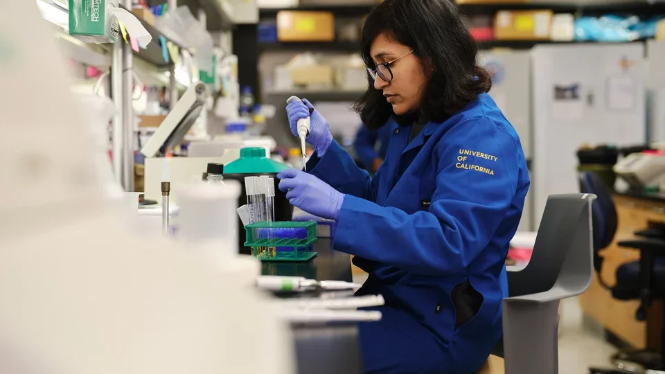 A researcher is using a micropipette to handle liquid samples, working over a bench that has racks of test tubes and laboratory equipment.