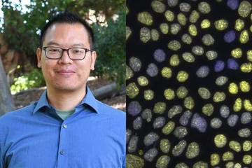 Split screen of Dr. Jimmy Hu and magnified cells
