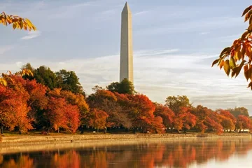 Washington monument in the fall