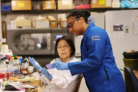 Research faculty mentoring a research student in the lab.