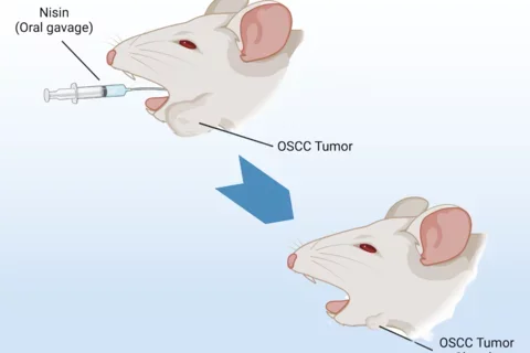 two images of mice heads, one with a syringe