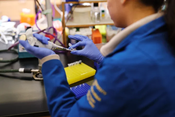 Researcher in blue lab coat using pipette