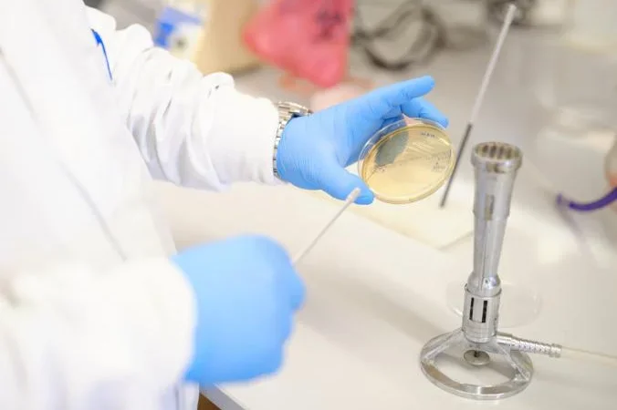 hands with blue gloves working with a petri dish