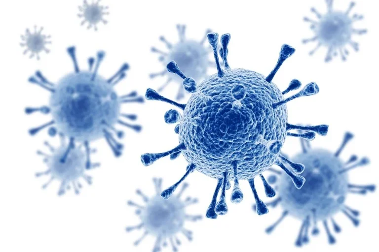 bacteria