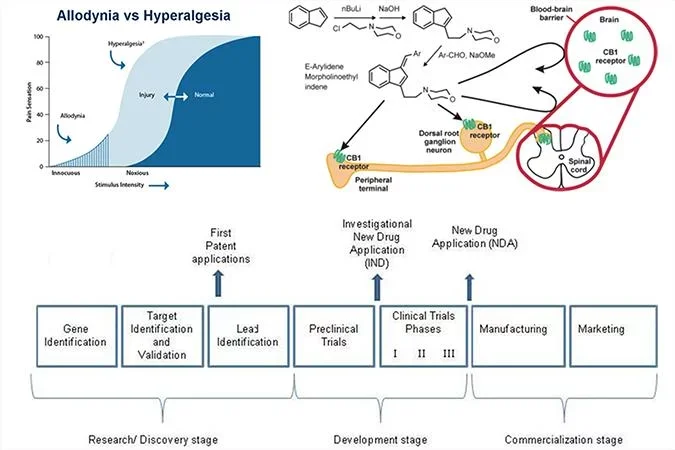 Art Work of Laboratory of Neuropharmacology
