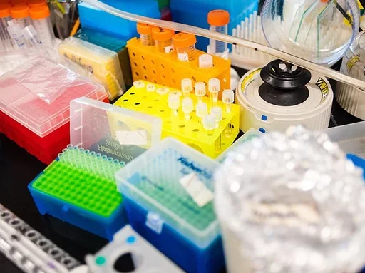 Infection & Inflammation - Research Image