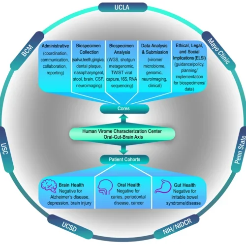  Circular schematic of the HVCC program
