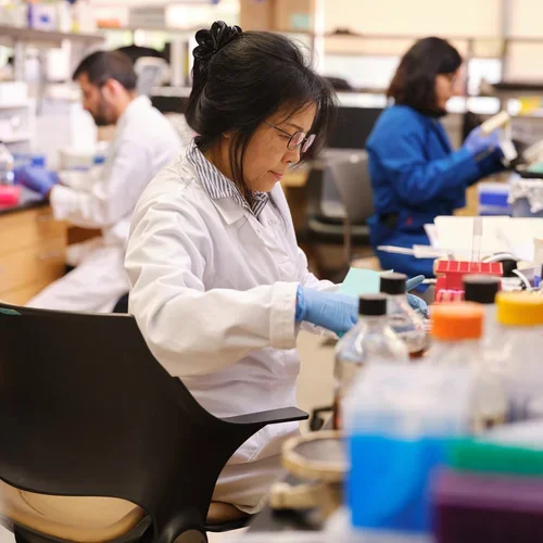 Three people working in a research lab
