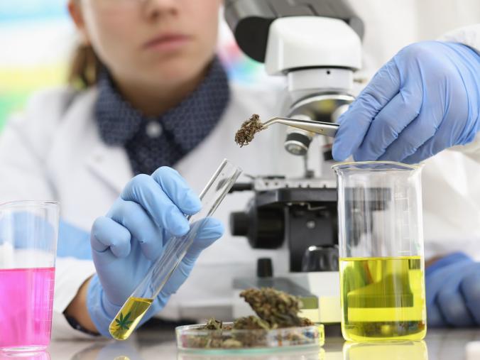 Working with cannabis in a lab