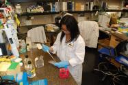 Scientist working in a lab