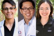 Collage of Drs. Shahed Al Khalifah, Denny Chao and Kelly Vitzthum 