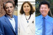 Drs. Honghu Liu, Yvonne Hernandez-Kapila, and Elbert Tom, left to right