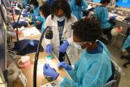 A student learns how to take alginate dental impressions