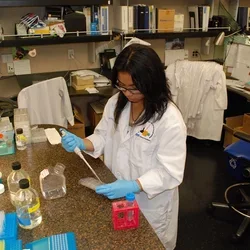 Scientist working in a lab