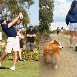 Split screen image of golfer, and a corgi