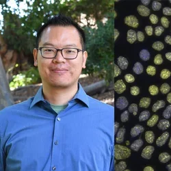 Split screen of Dr. Jimmy Hu and magnified cells