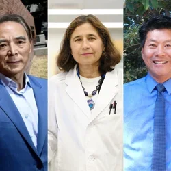 Drs. Honghu Liu, Yvonne Hernandez-Kapila, and Elbert Tom, left to right