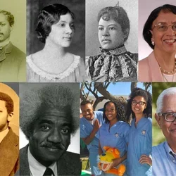 Collage of 11 people