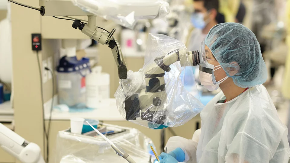 Jack and Geraldine Weichman Endodontics Clinic
