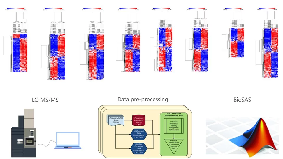 Systems Metabolomics and Medicine Banner
