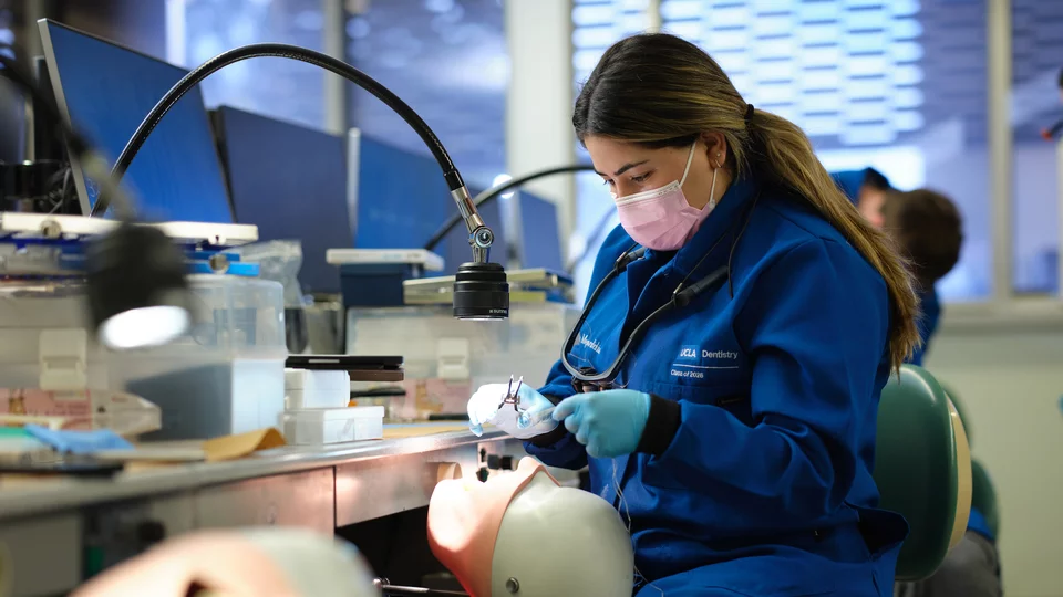 DDS student working in lab