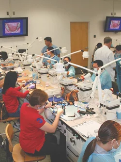 Continuing Education students working in lab