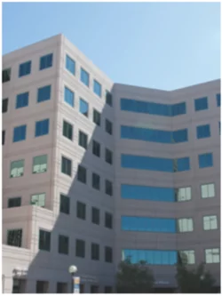 Faculty