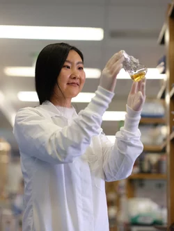 Graduate student in lab