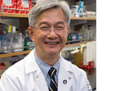 Dr. David Wong