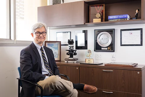 Dr. David Wong