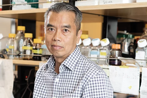 Dr. Hung Ton-That