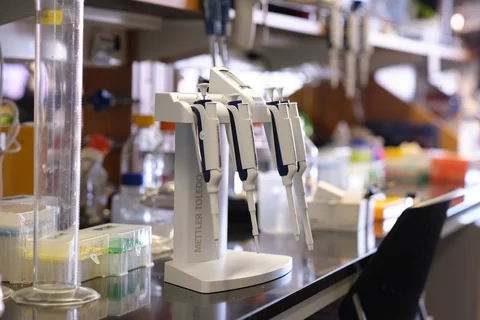 This marks the third summer of Bruins in Genomics: Dental, Oral, and Craniofacial Research Training Program (BIG DOC). Developed to address the need for researchers and practitioners in this field from diverse backgrounds 