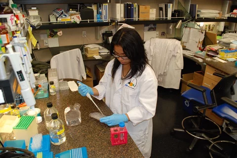 Scientist working in a lab