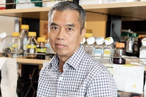 Hung Ton-That