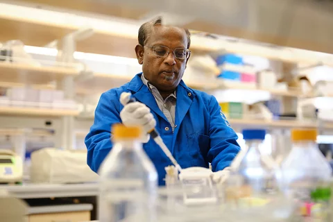 Researcher dispensing sample in petri dish