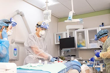dental anesthesiology