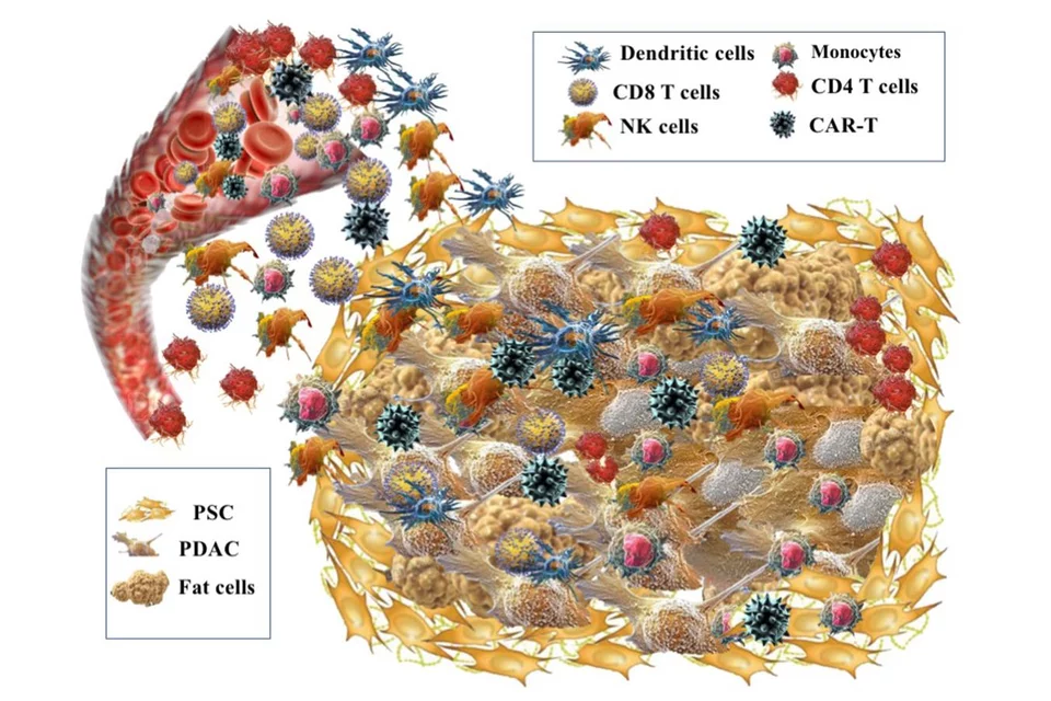 Tumor Immunology Laboratory Banner