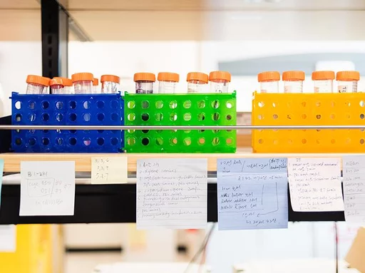 Craniofacial Biology & Bioengineering Research Image