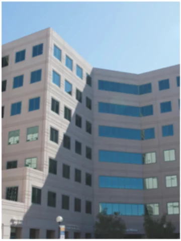 Faculty