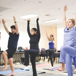 A yoga session at UCLA School of Dentistry